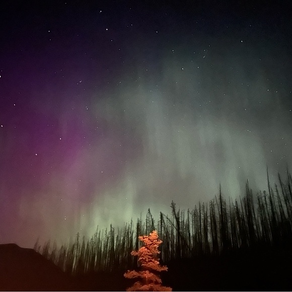 Meet your Posher - Picture 4 of 4